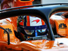 TEST F1 ABU DHABI 27 NOVEMBRE, Lando Norris (GBR) McLaren MCL33 Test Driver.
27.11.2018.