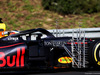 TEST F1 UNGHERIA 31 LUGLIO, Daniel Ricciardo (AUS) Red Bull Racing RB14.
31.07.2018.