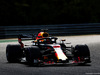 TEST F1 UNGHERIA 31 LUGLIO, Daniel Ricciardo (AUS) Red Bull Racing RB14.
31.07.2018.