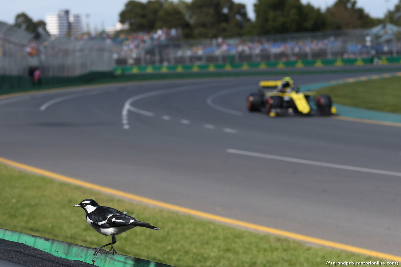 GP AUSTRALIA, 15.03.2019- free Practice 1, Daniel Ricciardo (AUS) Renault Sport F1 Team RS19