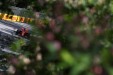 GP CANADA, 07.06.2019 - Free Practice 2, Sebastian Vettel (GER) Ferrari SF90