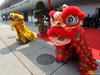 GP CINA, 12.04.2019- Atmosphere: chinese dragons