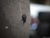 GP CINA, 12.04.2019- Used Tire detail