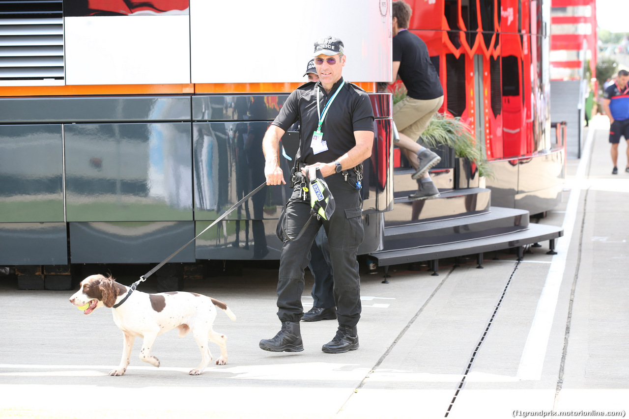 GP GRAN BRETAGNA, 12.07.2019- Anti-drogs dog in the paddock