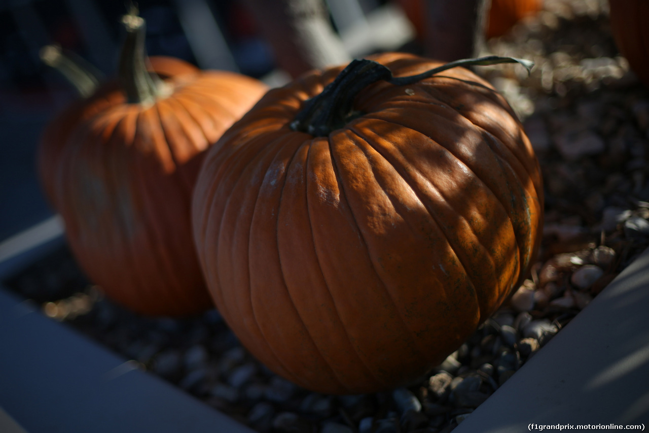 GP USA, 31.10.2019- halloween pumpkins