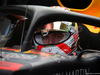 GP USA, 01.11.2019- free Practice 1, Max Verstappen (NED) Red Bull Racing RB15