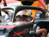 GP USA, 01.11.2019- Free practice 2, Max Verstappen (NED) Red Bull Racing RB15