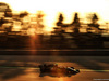TEST F1 BARCELLONA 20 FEBBRAIO, Romain Grosjean (FRA) Haas F1 Team VF-19.
20.02.2019.