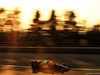 TEST F1 BARCELLONA 20 FEBBRAIO, Daniil Kvyat (RUS) Scuderia Toro Rosso STR14.
20.02.2019.