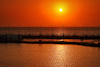 GP ARABIA SAUDITA, Circuit Atmosfera - sunset.
02.12.2021. Formula 1 World Championship, Rd 21, Saudi Arabian Grand Prix, Jeddah, Saudi Arabia, Preparation Day.
- www.xpbimages.com, EMail: requests@xpbimages.com © Copyright: Moy / XPB Images