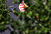 GP AZERBAIJAN, Lance Stroll (CDN) Aston Martin F1 Team AMR21.
04.06.2021. Formula 1 World Championship, Rd 6, Azerbaijan Grand Prix, Baku Street Circuit, Azerbaijan, Practice Day.
- www.xpbimages.com, EMail: requests@xpbimages.com © Copyright: Moy / XPB Images