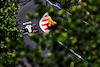 GP AZERBAIJAN, Mick Schumacher (GER) Haas VF-21.
04.06.2021. Formula 1 World Championship, Rd 6, Azerbaijan Grand Prix, Baku Street Circuit, Azerbaijan, Practice Day.
- www.xpbimages.com, EMail: requests@xpbimages.com © Copyright: Moy / XPB Images