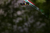 GP IMOLA, Sergio Perez (MEX), Red Bull Racing 
16.04.2021. Formula 1 World Championship, Rd 2, Emilia Romagna Grand Prix, Imola, Italy, Practice Day.
- www.xpbimages.com, EMail: requests@xpbimages.com ¬© Copyright: Charniaux / XPB Images