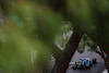 GP MONACO, George Russell (GBR) Williams Racing FW43B.
22.05.2021. Formula 1 World Championship, Rd 5, Monaco Grand Prix, Monte Carlo, Monaco, Qualifiche Day.
- www.xpbimages.com, EMail: requests@xpbimages.com © Copyright: Charniaux / XPB Images