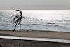 GP OLANDA, Zandvoort beach Atmosfera.
02.09.2021. Formula 1 World Championship, Rd 13, Dutch Grand Prix, Zandvoort, Netherlands, Preparation Day.
- www.xpbimages.com, EMail: requests@xpbimages.com © Copyright: Moy / XPB Images