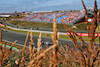 GP OLANDA, Sebastian Vettel (GER) Aston Martin F1 Team AMR21.
04.09.2021. Formula 1 World Championship, Rd 13, Dutch Grand Prix, Zandvoort, Netherlands, Qualifiche Day.
- www.xpbimages.com, EMail: requests@xpbimages.com © Copyright: Batchelor / XPB Images