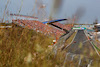 GP OLANDA, Daniel Ricciardo (AUS), McLaren F1 Team 
03.09.2021. Formula 1 World Championship, Rd 13, Dutch Grand Prix, Zandvoort, Netherlands, Practice Day.
- www.xpbimages.com, EMail: requests@xpbimages.com ¬© Copyright: Charniaux / XPB Images
