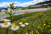 GP STIRIA, Lando Norris (GBR), McLaren F1 Team 
26.06.2021. Formula 1 World Championship, Rd 8, Steiermark Grand Prix, Spielberg, Austria, Qualifiche Day.
- www.xpbimages.com, EMail: requests@xpbimages.com © Copyright: Charniaux / XPB Images