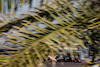TEST ABU DHABI, Fernando Alonso (ESP), Alpine F1 Team 15.12.2021. Formula 1 Testing, Yas Marina Circuit, Abu Dhabi, Wednesday.- www.xpbimages.com, EMail: requests@xpbimages.com ¬© Copyright: Charniaux / XPB Images