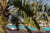 TEST ABU DHABI, Pietro Fittipaldi (BRA), Haas F1 Team  
15.12.2021. Formula 1 Testing, Yas Marina Circuit, Abu Dhabi, Wednesday.
- www.xpbimages.com, EMail: requests@xpbimages.com ¬© Copyright: Charniaux / XPB Images