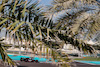 TEST ABU DHABI, Sebastian Vettel (GER), Aston Martin F1 Team 
15.12.2021. Formula 1 Testing, Yas Marina Circuit, Abu Dhabi, Wednesday.
- www.xpbimages.com, EMail: requests@xpbimages.com © Copyright: Charniaux / XPB Images