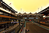GP ABU DHABI, Daniel Ricciardo (AUS) McLaren MCL36.
18.11.2022. Formula 1 World Championship, Rd 22, Abu Dhabi Grand Prix, Yas Marina Circuit, Abu Dhabi, Practice Day.
- www.xpbimages.com, EMail: requests@xpbimages.com © Copyright: Batchelor / XPB Images