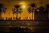 GP ABU DHABI, Nicholas Latifi (CDN) Williams Racing FW44.
18.11.2022. Formula 1 World Championship, Rd 22, Abu Dhabi Grand Prix, Yas Marina Circuit, Abu Dhabi, Practice Day.
- www.xpbimages.com, EMail: requests@xpbimages.com © Copyright: Bearne / XPB Images