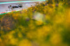 GP AUSTRIA, Yuki Tsunoda (JPN) AlphaTauri AT03.
08.07.2022. Formula 1 World Championship, Rd 11, Austrian Grand Prix, Spielberg, Austria, Qualifiche Day.
- www.xpbimages.com, EMail: requests@xpbimages.com © Copyright: Bearne / XPB Images