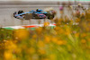 GP AUSTRIA, Esteban Ocon (FRA) Alpine F1 Team A522.
08.07.2022. Formula 1 World Championship, Rd 11, Austrian Grand Prix, Spielberg, Austria, Qualifiche Day.
- www.xpbimages.com, EMail: requests@xpbimages.com © Copyright: Bearne / XPB Images