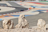 GP BAHRAIN, Circuit Atmosfera.
18.03.2022. Formula 1 World Championship, Rd 1, Bahrain Grand Prix, Sakhir, Bahrain, Practice Day
- www.xpbimages.com, EMail: requests@xpbimages.com © Copyright: Moy / XPB Images