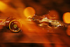 GP BAHRAIN, George Russell (GBR) Mercedes AMG F1 W13.
18.03.2022. Formula 1 World Championship, Rd 1, Bahrain Grand Prix, Sakhir, Bahrain, Practice Day
- www.xpbimages.com, EMail: requests@xpbimages.com © Copyright: Bearne / XPB Images