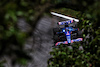 GP BRASILE, Fernando Alonso (ESP) Alpine F1 Team A522.
12.11.2022. Formula 1 World Championship, Rd 21, Brazilian Grand Prix, Sao Paulo, Brazil, Sprint Day.
 - www.xpbimages.com, EMail: requests@xpbimages.com © Copyright: Coates / XPB Images
