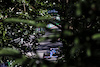 GP CANADA, Fernando Alonso (ESP) Alpine F1 Team A522.
19.06.2022. Formula 1 World Championship, Rd 9, Canadian Grand Prix, Montreal, Canada, Gara Day.
 - www.xpbimages.com, EMail: requests@xpbimages.com © Copyright: Coates / XPB Images