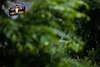 GP CANADA, Daniel Ricciardo (AUS) McLaren MCL36.
18.06.2022. Formula 1 World Championship, Rd 9, Canadian Grand Prix, Montreal, Canada, Qualifiche Day.
- www.xpbimages.com, EMail: requests@xpbimages.com © Copyright: Price / XPB Images