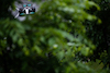 GP CANADA, George Russell (GBR) Mercedes AMG F1 W13.
18.06.2022. Formula 1 World Championship, Rd 9, Canadian Grand Prix, Montreal, Canada, Qualifiche Day.
- www.xpbimages.com, EMail: requests@xpbimages.com © Copyright: Price / XPB Images
