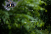 GP CANADA, Sergio Perez (MEX) Red Bull Racing RB18.
18.06.2022. Formula 1 World Championship, Rd 9, Canadian Grand Prix, Montreal, Canada, Qualifiche Day.
- www.xpbimages.com, EMail: requests@xpbimages.com © Copyright: Price / XPB Images