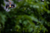 GP CANADA, Max Verstappen (NLD) Red Bull Racing RB18.
18.06.2022. Formula 1 World Championship, Rd 9, Canadian Grand Prix, Montreal, Canada, Qualifiche Day.
- www.xpbimages.com, EMail: requests@xpbimages.com © Copyright: Price / XPB Images