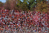GP ITALIA, Gara fans.
11.09.2022. Formula 1 World Championship, Rd 16, Italian Grand Prix, Monza, Italy, Gara Day.
- www.xpbimages.com, EMail: requests@xpbimages.com © Copyright: Batchelor / XPB Images
