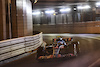 GP MONACO, Esteban Ocon (FRA) Alpine F1 Team A522.
27.05.2022. Formula 1 World Championship, Rd 7, Monaco Grand Prix, Monte Carlo, Monaco, Venerdi'.
- www.xpbimages.com, EMail: requests@xpbimages.com © Copyright: Price / XPB Images