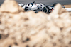 TEST BAHRAIN, Pierre Gasly (FRA) AlphaTauri AT03.
12.03.2022. Formula 1 Testing, Sakhir, Bahrain, Day Three.
- www.xpbimages.com, EMail: requests@xpbimages.com © Copyright: Bearne / XPB Images