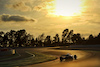 TEST BARCELLONA, Alexander Albon (THA) Williams Racing FW44.
25.02.2022. Formula One Testing, Day Three, Barcelona, Spain. Venerdi'.
- www.xpbimages.com, EMail: requests@xpbimages.com © Copyright: Price / XPB Images
