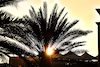GP ABU DHABI, Circuit Atmosfera - sunset.
23.11.2023. Formula 1 World Championship, Rd 23, Abu Dhabi Grand Prix, Yas Marina Circuit, Abu Dhabi, Preparation Day.
- www.xpbimages.com, EMail: requests@xpbimages.com © Copyright: Moy / XPB Images