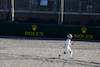 GP AUSTRALIA, Nyck de Vries (NLD) AlphaTauri AT04 crashed out at the second repartenza of the race.
02.04.2023. Formula 1 World Championship, Rd 3, Australian Grand Prix, Albert Park, Melbourne, Australia, Gara Day.
 - www.xpbimages.com, EMail: requests@xpbimages.com ¬© Copyright: Coates / XPB Images