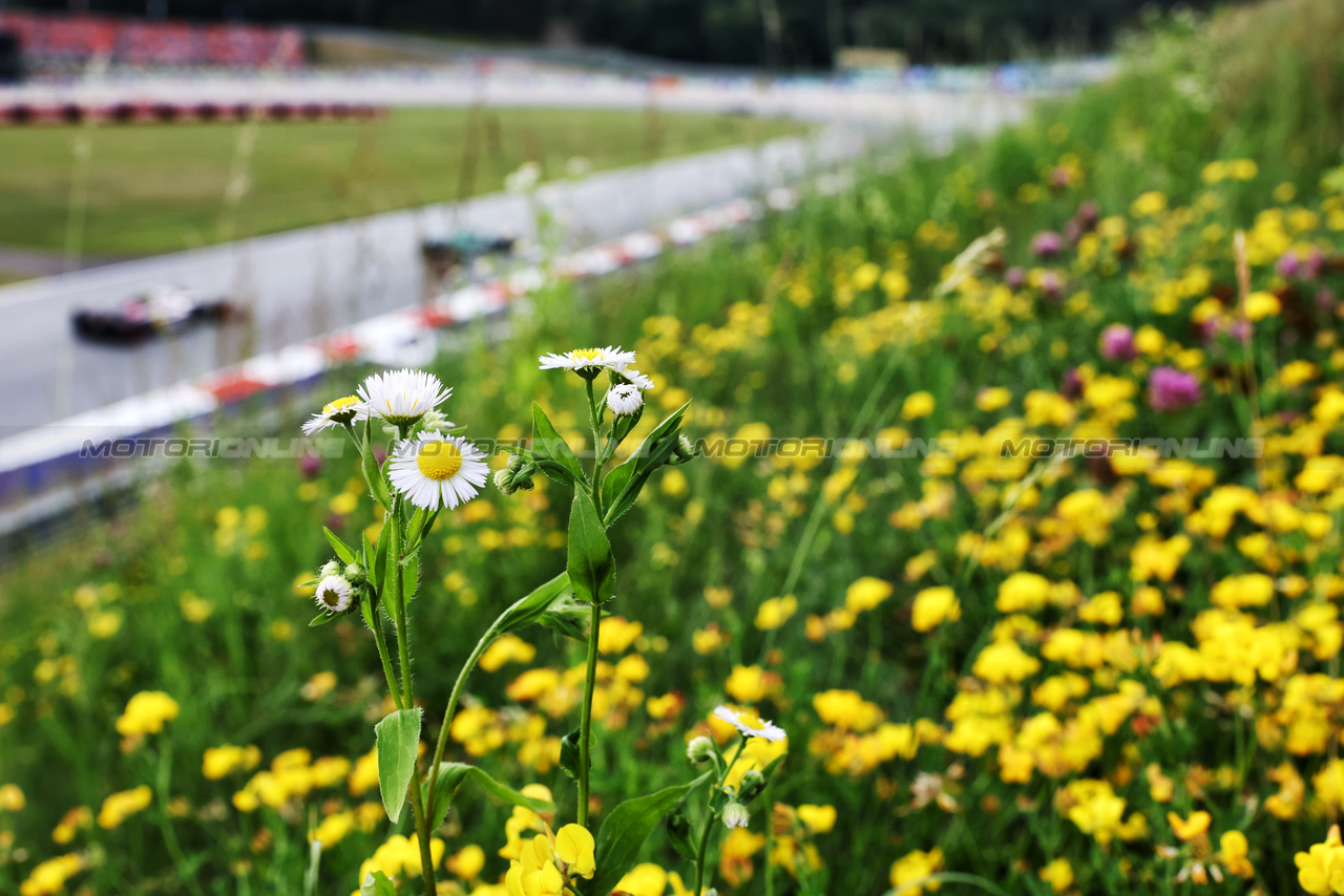 GP AUSTRIA, Qualifiche action.

30.06.2023. Formula 1 World Championship, Rd 10, Austrian Grand Prix, Spielberg, Austria, Qualifiche Day.

- www.xpbimages.com, EMail: requests@xpbimages.com © Copyright: Moy / XPB Images