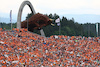 GP AUSTRIA, Circuit Atmosfera - fans in the grandstand.
30.06.2023. Formula 1 World Championship, Rd 10, Austrian Grand Prix, Spielberg, Austria, Qualifiche Day.
- www.xpbimages.com, EMail: requests@xpbimages.com © Copyright: Moy / XPB Images