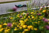 GP AUSTRIA, Fernando Alonso (ESP) Aston Martin F1 Team AMR23.
30.06.2023. Formula 1 World Championship, Rd 10, Austrian Grand Prix, Spielberg, Austria, Qualifiche Day.
- www.xpbimages.com, EMail: requests@xpbimages.com © Copyright: Moy / XPB Images