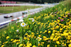 GP AUSTRIA, Qualifiche action.
30.06.2023. Formula 1 World Championship, Rd 10, Austrian Grand Prix, Spielberg, Austria, Qualifiche Day.
- www.xpbimages.com, EMail: requests@xpbimages.com © Copyright: Moy / XPB Images