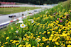 GP AUSTRIA, Qualifiche action.
30.06.2023. Formula 1 World Championship, Rd 10, Austrian Grand Prix, Spielberg, Austria, Qualifiche Day.
- www.xpbimages.com, EMail: requests@xpbimages.com © Copyright: Moy / XPB Images