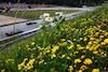 GP AUSTRIA, Yuki Tsunoda (JPN) AlphaTauri AT04.
30.06.2023. Formula 1 World Championship, Rd 10, Austrian Grand Prix, Spielberg, Austria, Qualifiche Day.
- www.xpbimages.com, EMail: requests@xpbimages.com © Copyright: Moy / XPB Images