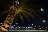 GP BAHRAIN, Pierre Gasly (FRA), Alpine F1 Team Max Verstappen (NLD), Red Bull Racing Carlos Sainz Jr (ESP), Ferrari 
03.03.2023. Formula 1 World Championship, Rd 1, Bahrain Grand Prix, Sakhir, Bahrain, Practice Day
- www.xpbimages.com, EMail: requests@xpbimages.com ¬© Copyright: Charniaux / XPB Images